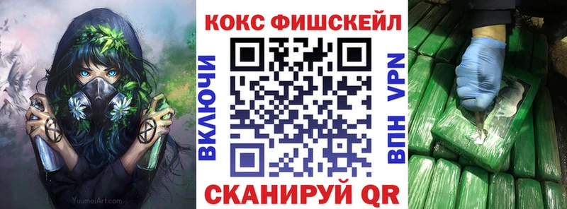 omg вход Сосновка Кокаин Fish Scale