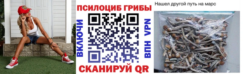 Галлюциногенные грибы Psilocybine cubensis  Сосновка 